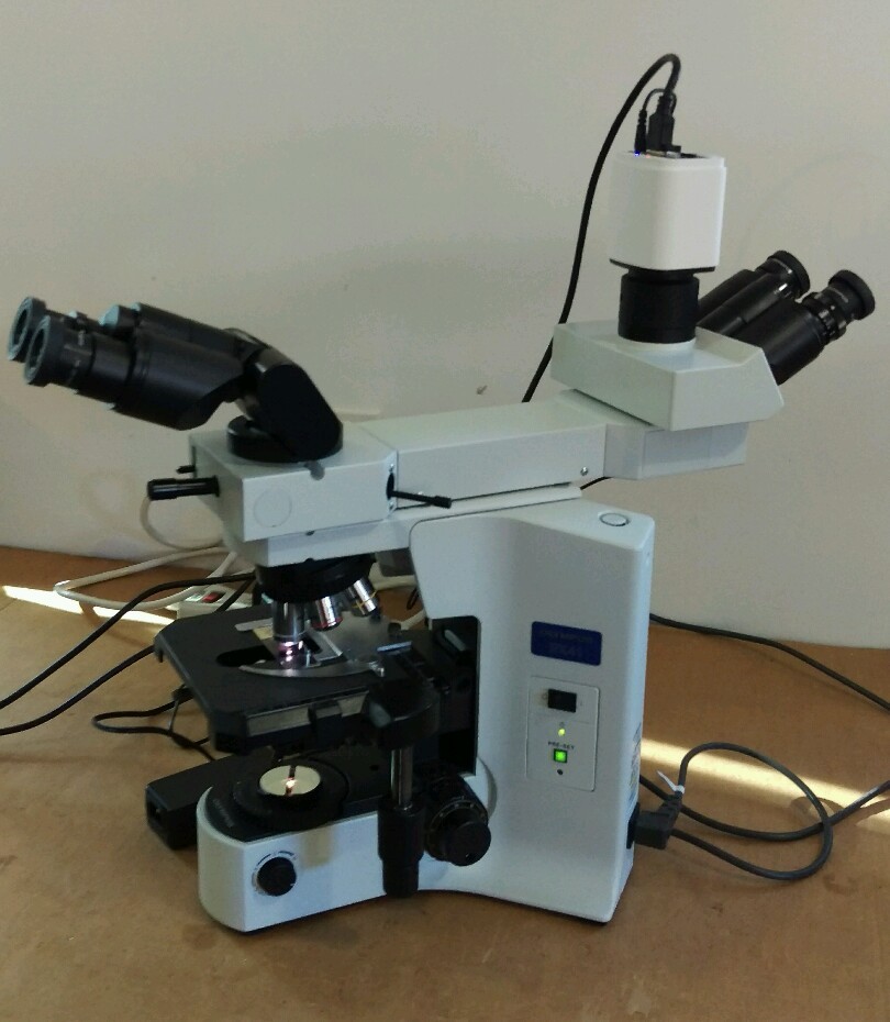 Olympus Microscope BX41 Front to Back Bridge, 2X Objective and HD Camera
