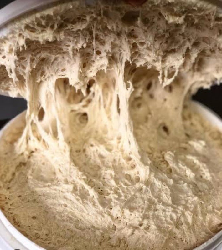 2 centuries old Sourdough started dehydrated/Masa Madre Deshidratada 2 Siglos