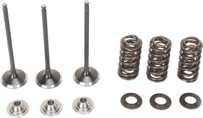 MOOSE OFFROAD Yamaha WR250F Valve and Spring Kit - Part M80-80850