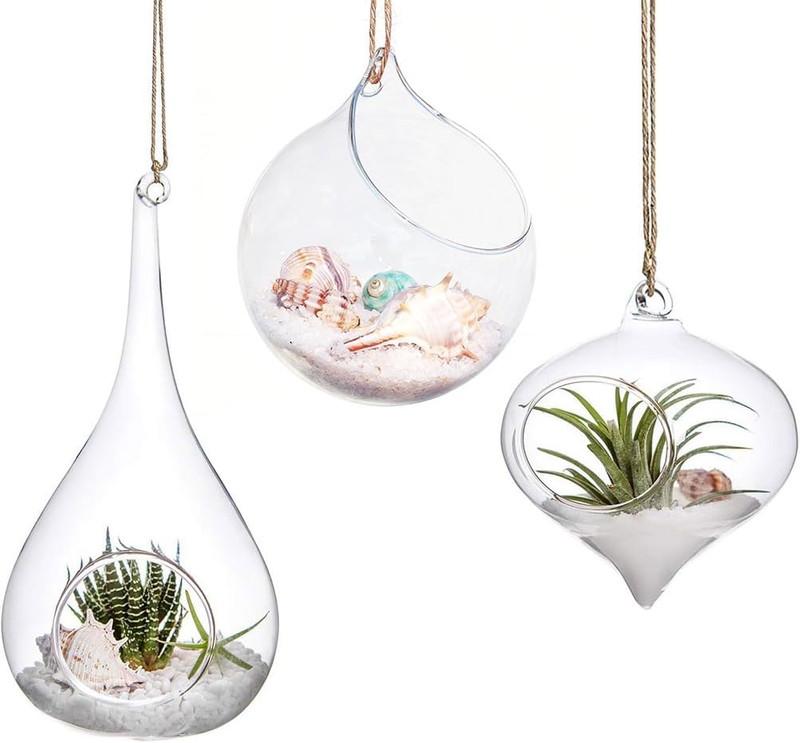 Glass Hanging Planter, 3 Pack Hanging Glasses Globes Terrarium Air Plant Terrari