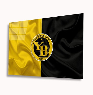 BSC Young Boys Swiss Super League Football Club Clubhouse Decoration Elegant  
