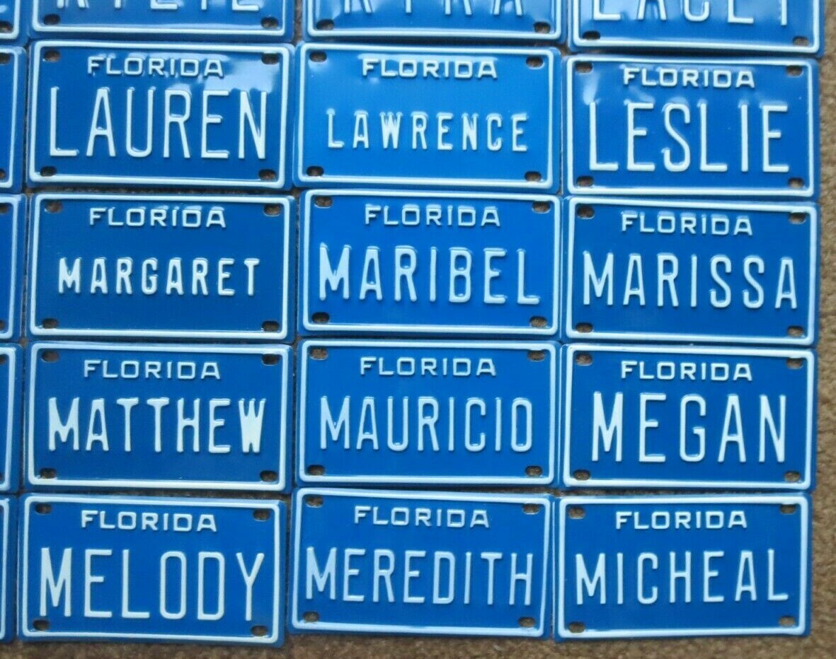 Vintage Personalized Florida Mini Bike Bicycle Vanity Metal License Plate