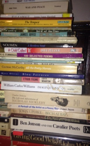 Choose / Pick 12 From 150 Books Build Classic Literature Book Lot Free Shipping