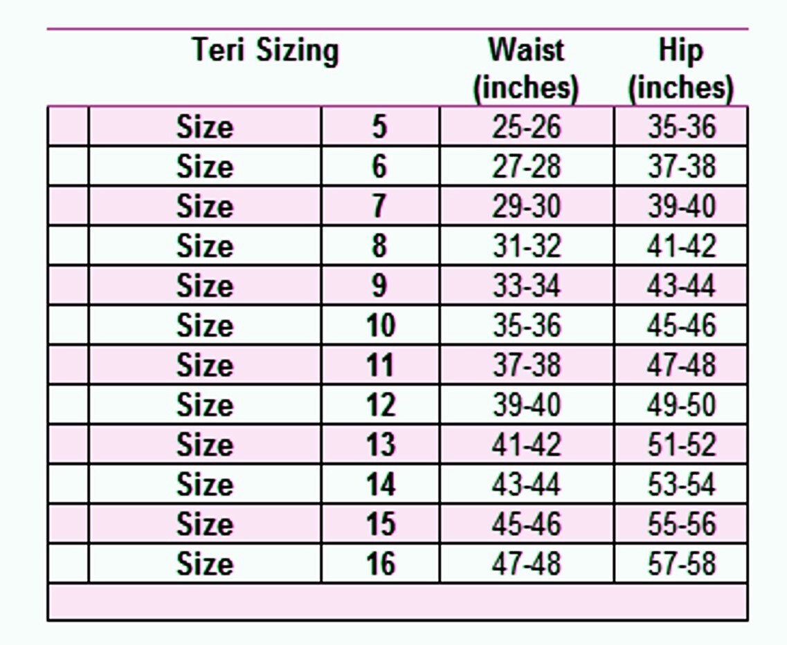 Teri's Soft Silky Nylon Panty Brief - 3 Pair 