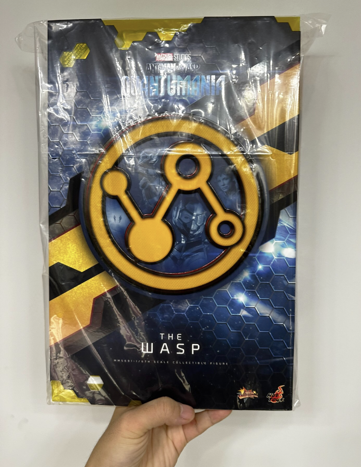 【むんω 】 HORNET 6個セット Hot Toys 1/6 The Wasp Action Figure
