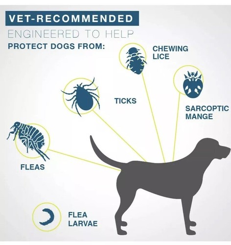 Seresto Flea and Tick Prevention Collar for Large Dogs, 8 Month Flea and Tick Pr