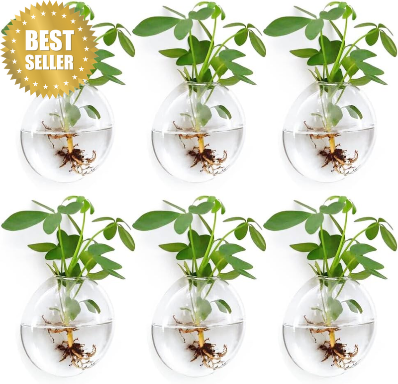 Wall Propagation Planters 6 Pack Glass Wall Planters Propagation Stations Wall M