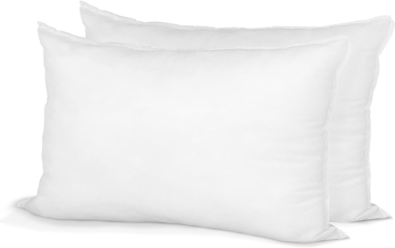 Pillow Insert 20" X 26" Polyester Filled Standard Cover (2 Pack)