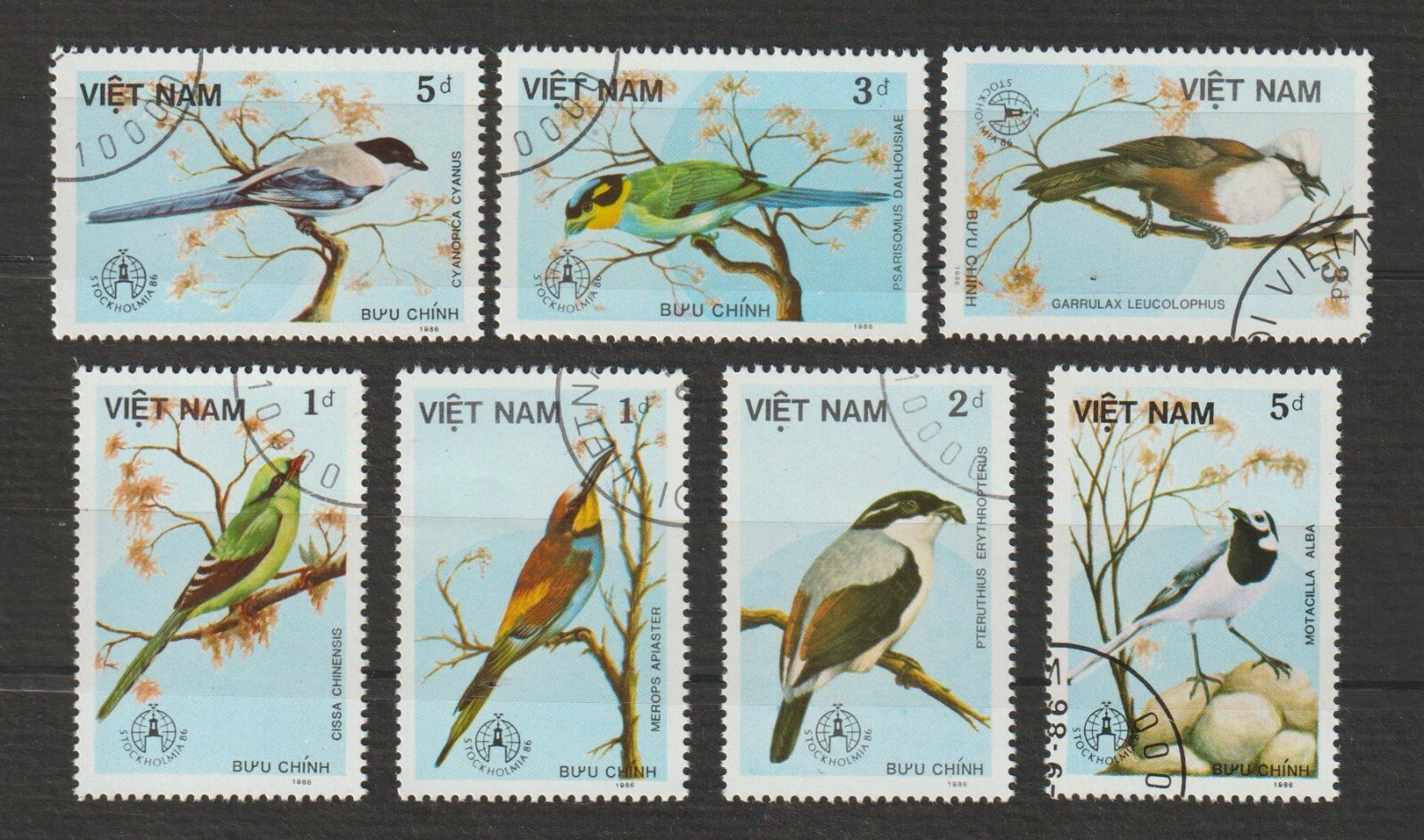 ★87MM★ Mmlg STAMP COLLECTOR HFT EVERY WHITE AC339 - 02/20/1962 USA, Commemorating First Successful