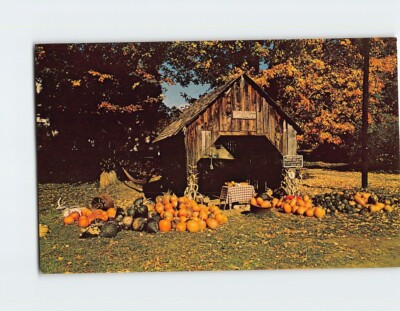 Postcard Fall Harvest Vermont USA