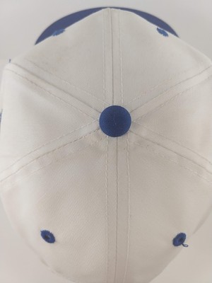 NASCAR 1999 Daytona 500 Cap Hat Snapback