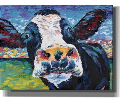 Epic Graffiti 'Curious Cow II' by Carolee Vitaletti Canvas Wall Art, 16''x12