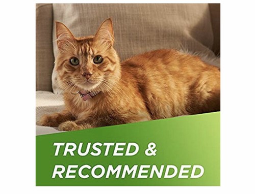 Frontline Plus for Cats (all sizes) 6 doses