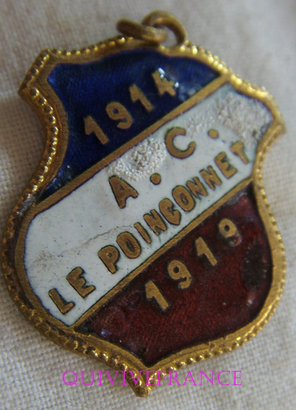 Bg8131 - Insigne Badge Anciens Combattants 1914-1919 Le PoinÃOnnet