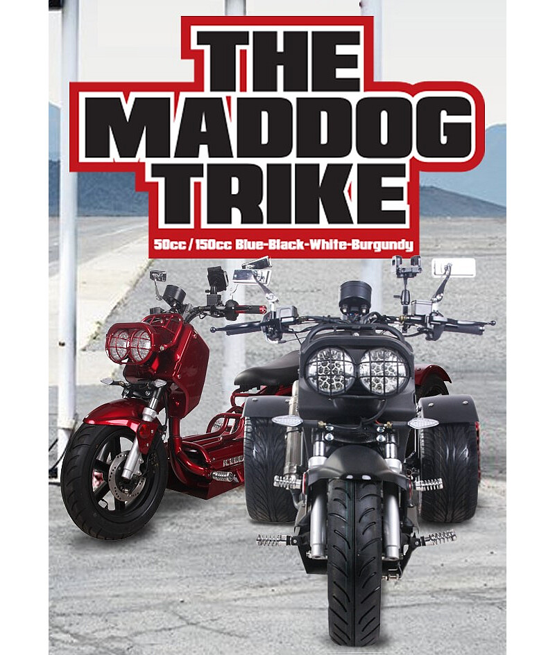 NEW 2019 ICE BEAR 49cc MADDOG Motor Bike Trike Tricycle 50 Gas Scooter 3 wheeler