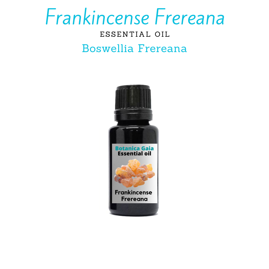 Frankincense Frereana Essential Oil 100% Pure, Organic, (Boswellia Frereana).