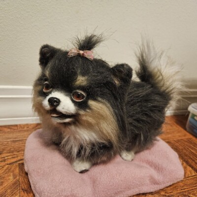 Artikelfoto(s) von einem verifizierten Käufer