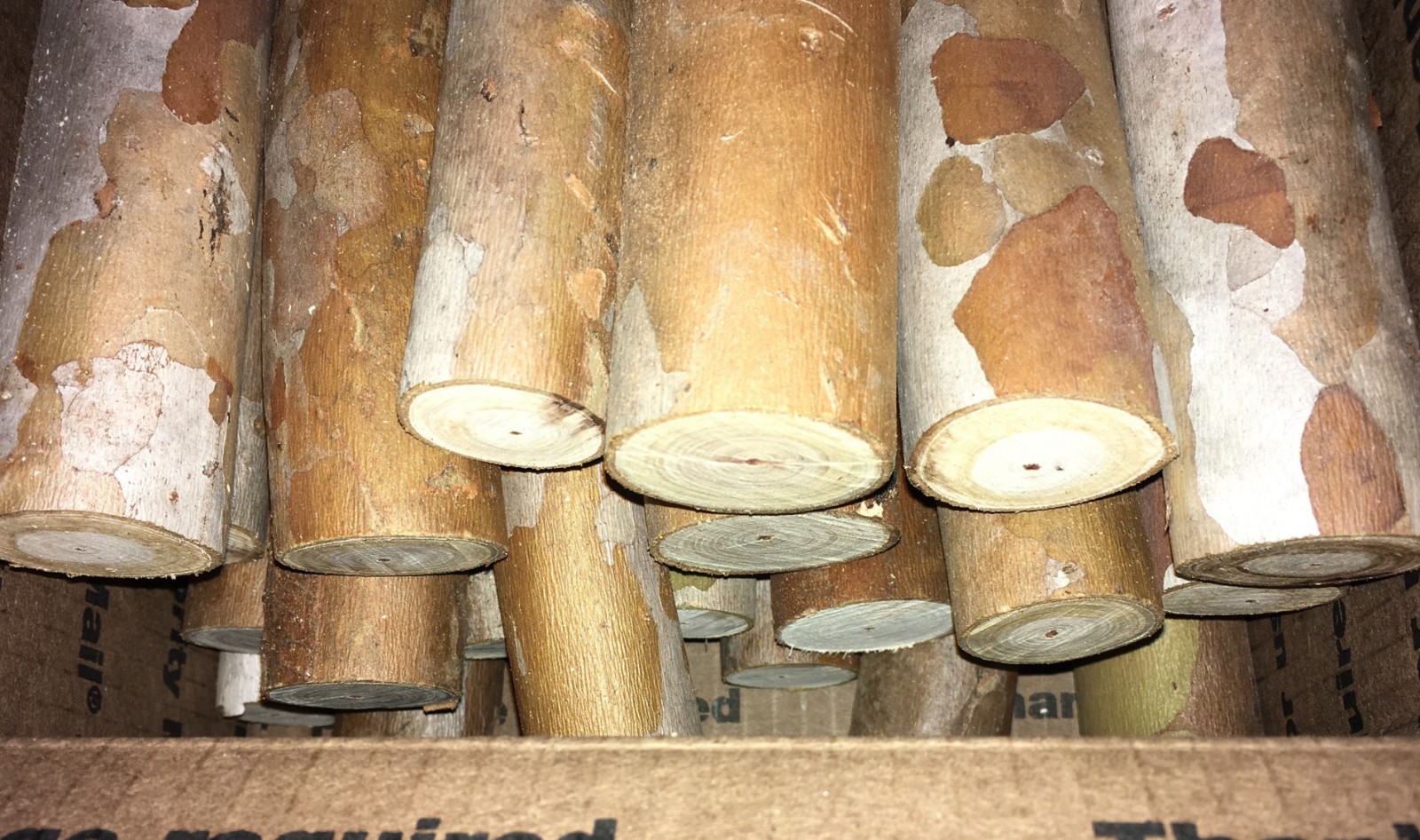 100% Hawaiian Green Guava Wood Smoking Sticks~Hardwood BBQ Flavor Additive