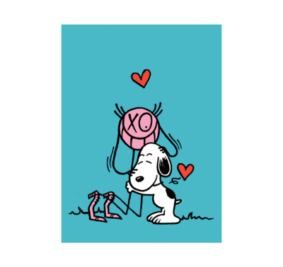 SNOOPY - 激レア！！ アンドレ サライヴァ Ａｎｄｒe  × ＳＮＯＯＰＹ スヌーピー Yahoo!オークション -「andre saraiva」の落札相場・落札価格