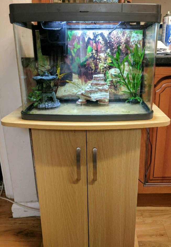 40l fish tank with pump and stand in Coventry, West Midlands Gumtree
