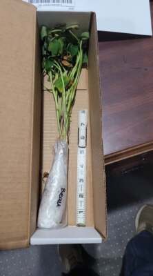 经认证买家提供的物品图片