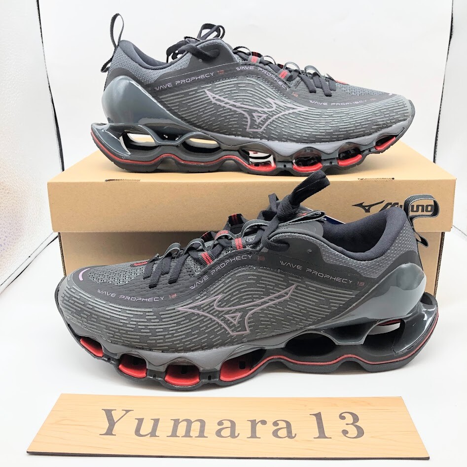 Pre-owned Mizuno Wave Prophecy 13 Running Dark Gray J1gc2400 52 Men's Size