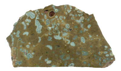 Polished Western Australian Galaxy Agate Slice Stone Slab Pilbara GA02053