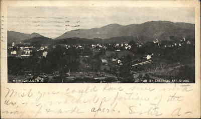 Waynesville North Carolina NC Sherrills Art Store c1910 Vintage Postcard