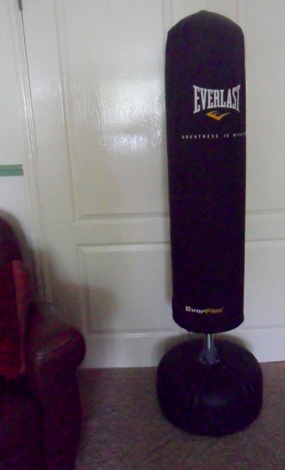 Everlast Everflex Floor Standing Cardio Fitness Punch Bag Base Excellent Condition 20 M Bro In Coulby Newham North Yorkshire Gumtree