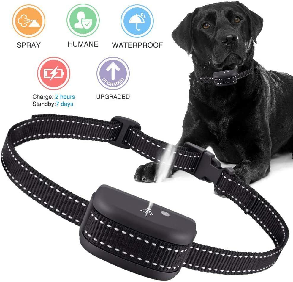 Queenmew Collier anti-aboiement pour chien Colliers de dressage avec dispositif