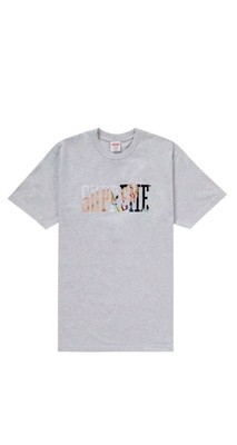 Size medium - Supreme Tera Patrick Collegiate Tee White FW24 sealed 