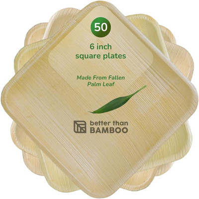 Better than Bamboo 50 6'' Disposable Square Palm Leaf Plates or Wood Plates. H...