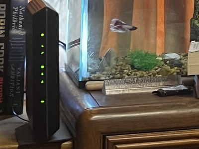 Fotos del artículo de un comprador verificado