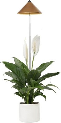 Parus by Venso SUNLiTE Pflanzenlampe 7W Kupfer Neu (342)