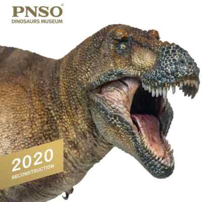 PNSO 2020 Wilson il Tyrannosaurus rex dinosauro Linea Museale - Scala 1.35