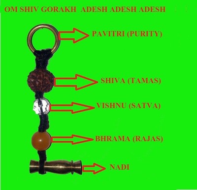Most Powerful Wealth Richness Aghori Baba Gorakhnath ENERGIZED NADI PAVITARI-A++