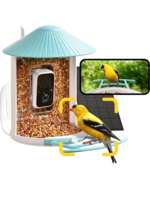 NETVUE Birdfy Smart Bird Feeder Camera, Auto Capture And Ai Bird ID Technology