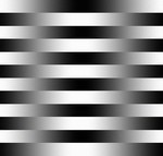 data.vortex