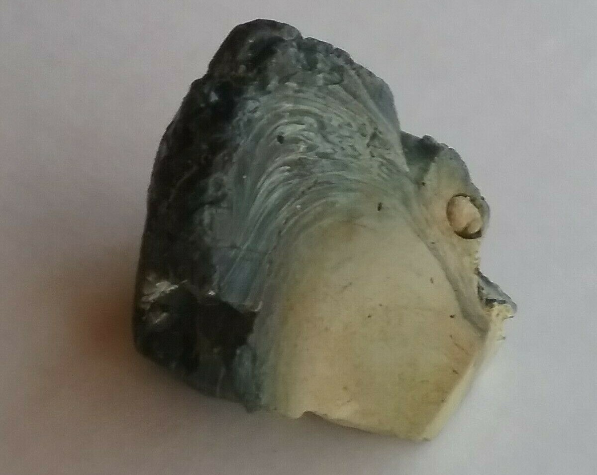 Obsidian Turquoise