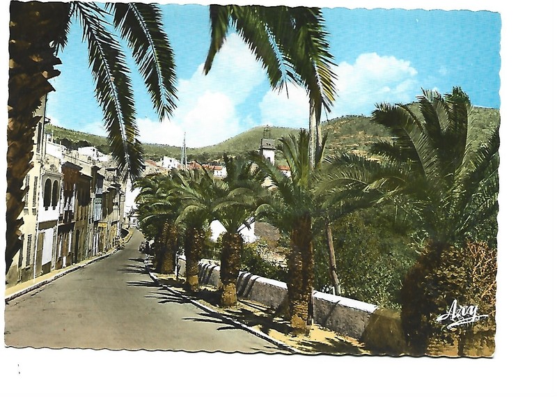 13  Ceyreste  Rue Felix Neviere