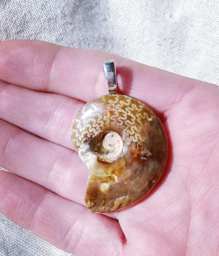 Natural Ammonite Pendant Rainbow