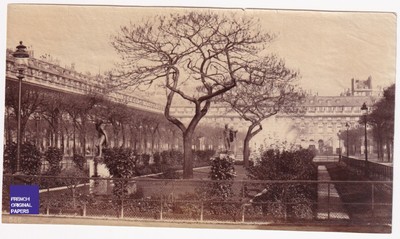 Jardin du Palais Royal Paris -Photo albuminée 1880s Hautecoeur Martinet fontaine