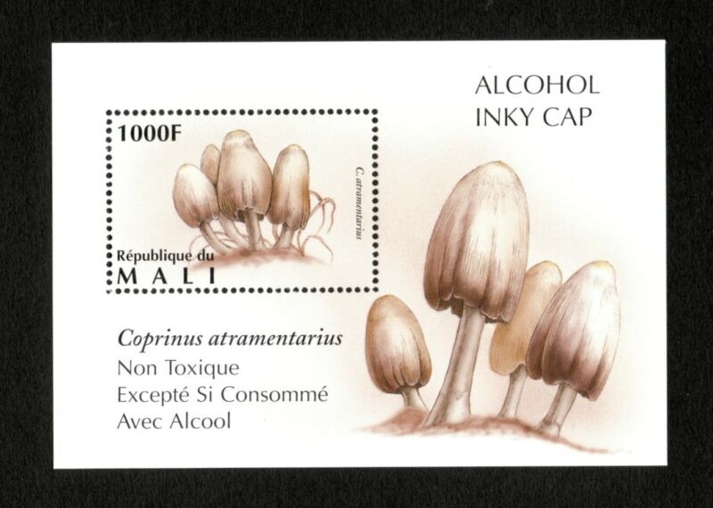 Mali 1995 - Mushroom, Alcohol Inky Cap - Souvenir Sheet - MNH