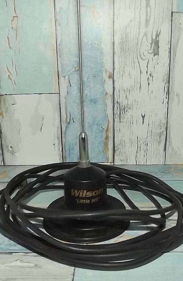 WILSON 