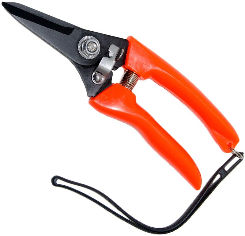 Goat Sheep Pig Hoof Trimmer Multipurpose Twig and Floral Trimming Shears for Gar