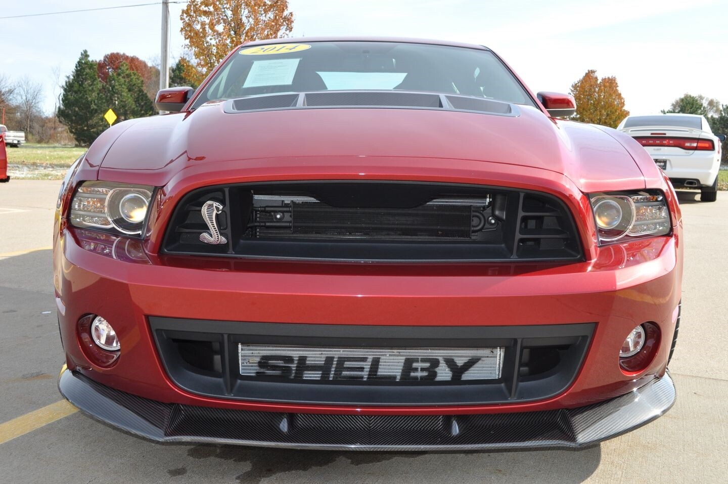 2014 Ford Mustang Shelby 1000 Used Ford Mustang for sale in