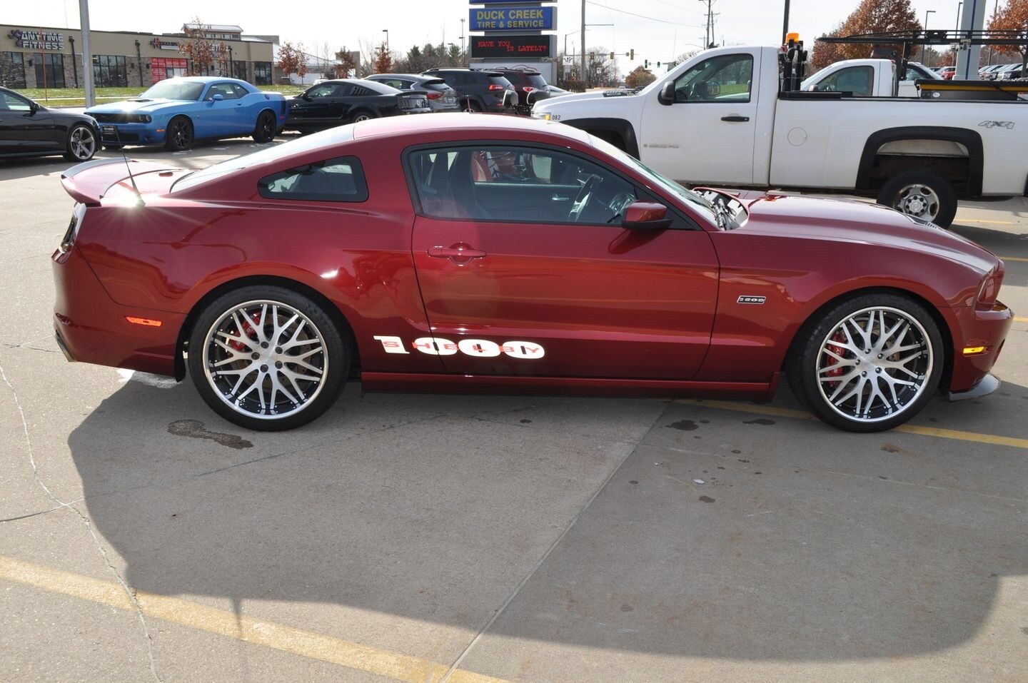 2014 Ford Mustang Shelby 1000 Used Ford Mustang for sale in