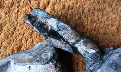 Fotos del artículo de un comprador verificado