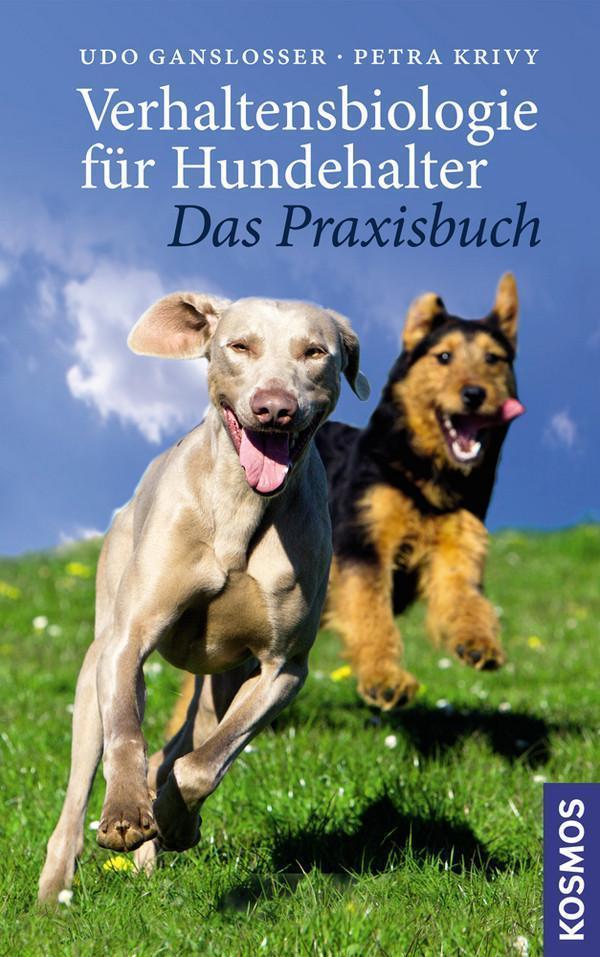 Standardbild