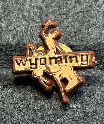 VINTAGE WYOMING RODEO SOUVENIR PLASTIC PIN BADGE AGE WORN